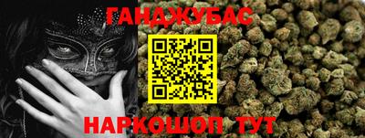 гидропоника Пенза