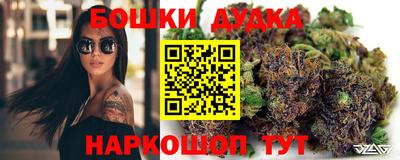 гидропоника Пенза